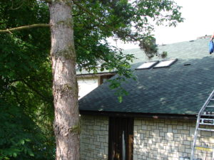 střecha Trutnov 005